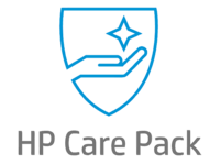 HP Thin Client Conversion Solution 1år