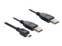 Delock USB-kabel 30cm