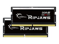 G.Skill Ripjaws DDR5 SDRAM 32GB kit 5600MHz CL46 SO DIMM 262-PIN