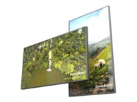 DynaScan DS752LT5 75' Digital skiltning 3840 x 2160