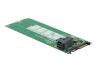 DeLOCK Converter SATA 22 pin / SFF-8643 NVMe > 1 x M.2 NGFF Key M Interfaceadapter