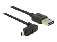 Delock USB-kabel 50cm Sort