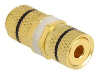 Delock Lyd adapter Guld