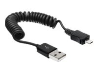 Delock USB-kabel 60cm Sort