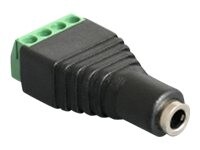 Delock Lyd adapter