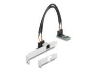 DeLock Netværksadapter Ethernet Fast Ethernet Gigabit Ethernet 2.5 Gigabit Ethernet