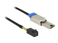 DeLOCK Serial Attached SCSI (SAS) internt til eksternt kabel Sort 1m