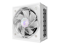 AORUS ELITE AE850PM PG5 ICE 850Watt 80 PLUS Platinum