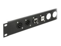 Delock D-Type Module HDMI-A female to female Sort