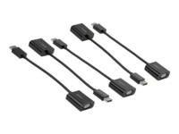 StarTech.com 5-Pack DisplayPort to VGA Adapter, DisplayPort 1.2 HBR2 to VGA Active Adapter, Digital DP to Analog VGA Video Converter Dongle, DisplayPort Male to VGA Female Monitor Adapter - Active DP 1.2 to VGA (DP2VGA3X5) Videoadapter 10cm Sort
