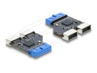 Delock USB-adapter Sort