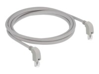 DeLOCK CAT 6 S/FTP 2m Patchkabel Grey