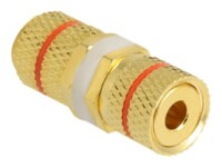 Delock Lyd adapter Guld