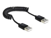 Delock USB-kabel 60cm Sort
