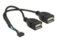 Delock USB intern til ekstern kabel 20cm Sort
