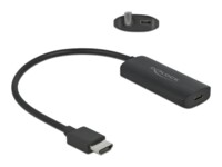 Delock Videoadapter 24cm Sort