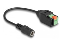 Delock Strømforsyningsadapter 15cm Sort