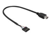 Delock USB 2.0 Pin Header USB intern til ekstern adapter 30cm Sort