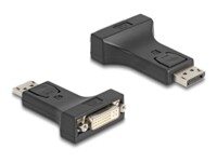 Delock Videoadapter Sort