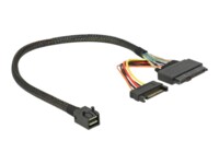 DeLOCK Serial Attached SCSI (SAS) internt kabel Sort 30cm