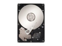 Seagate DB35.3 Series Harddisk ST3250820SCE 250GB 3.5' SATA-300 7200rpm
