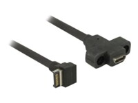 Delock USB intern til ekstern kabel 45cm Sort