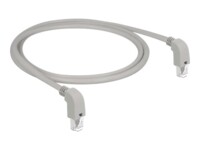 DeLOCK CAT 6 S/FTP 1m Patchkabel Grey