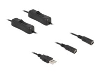 DeLOCK 4 pin USB Type A (male) - Strøm DC jackstik 5,5 mm (ID: 2,1 mm) (female) Sort 1m Strøm-splitter