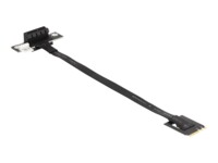 DeLOCK Interfaceadapter