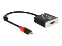 Delock Ekstern videoadapter