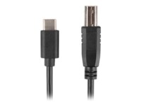 Lanberg USB 2.0 USB Type-C kabel 3m Sort