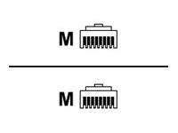 Telegärtner MP8 FS 600 CAT 7 Kabel med afskærmning med folie og kobberfletning (SFTP Patchkabel Blå