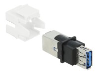 Delock Keystone module USB-adapter Hvid