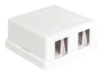 Delock Keystone Surface Mounted Box Hvid