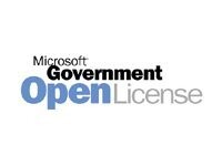 Microsoft Dynamics CRM Online Enhanced Support 1måned