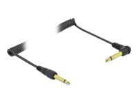 Delock Audiokabel 2m