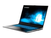 Medion ERAZER Scout E30i 17.3' 1920 x 1080 (Full HD) I5-13420H 16GB 512GB NVIDIA GeForce RTX 4050 / Intel UHD Graphics Windows 11 Home