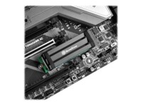 SilverStone TP02-M2 Kølelegeme til solid state-disk
