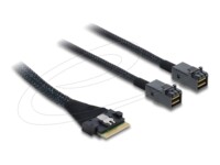 Delock Serial Attached SCSI (SAS) internt kabel Sort