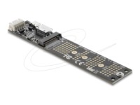 Delock Interfaceadapter