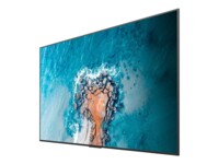 Hisense 100DM66E 100' Digital skiltning 3840 x 2160