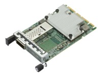 Broadcom BCM957504-N1100G Netværksadapter PCI Express 4.0 x16