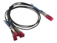Dell 100GbE Direct Attach Dobbelt-axial Udbryderkabel