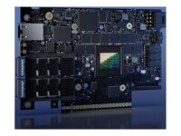 NVIDIA BlueField-3 P-Series B3220 Netværksadapter PCI Express 5.0 x16