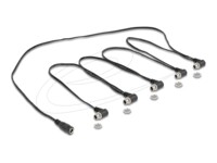 Delock Strøm-splitter Sort