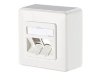 BTR Modul Anschlussdose AP 2 Port unbestückt reinweiß