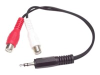 StarTech.com 6in Stereo Audio Y-Cable - 3.5mm Male to 2x RCA Female - Headphone Jack to RCA - Computer / MP3 to Stereo 1x Mini-Jack 2x RCA (MUMFRCA) Audiokabel 15.24cm Sort