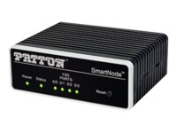 Patton SmartNode SN200 VoIP-gateway Ethernet Fast Ethernet Sort