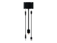Cablexpert Videoadapter 15cm Sort