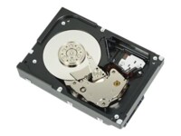 Dell Harddisk 2TB 3.5' SATA-600 7200rpm